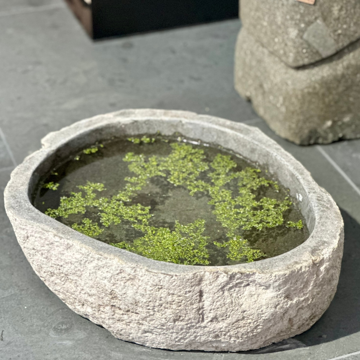 Riverstone-Schale als Wasserschale