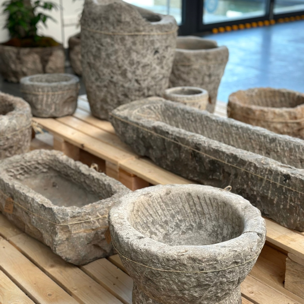 Auswahl eckiger Soulplanter®