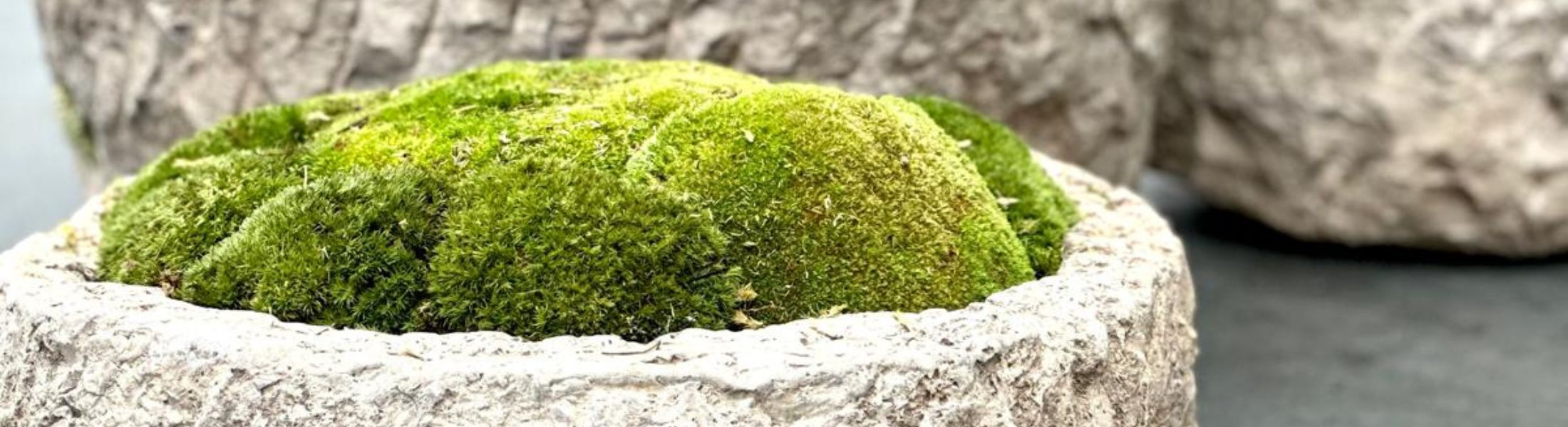 Soulplanter Naturstein-Pflanzgefäße