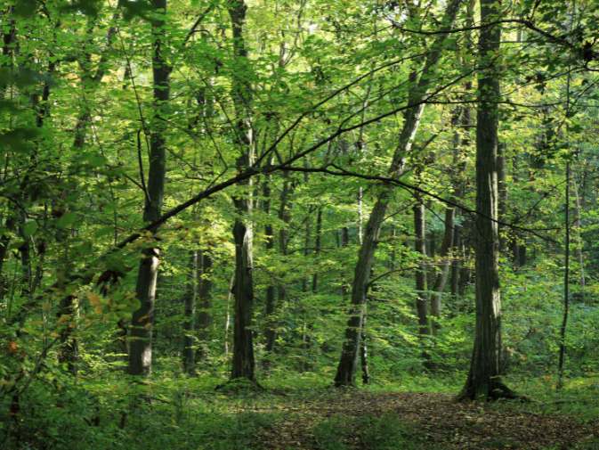 Nachhaltigkeit bei NGR Steine
