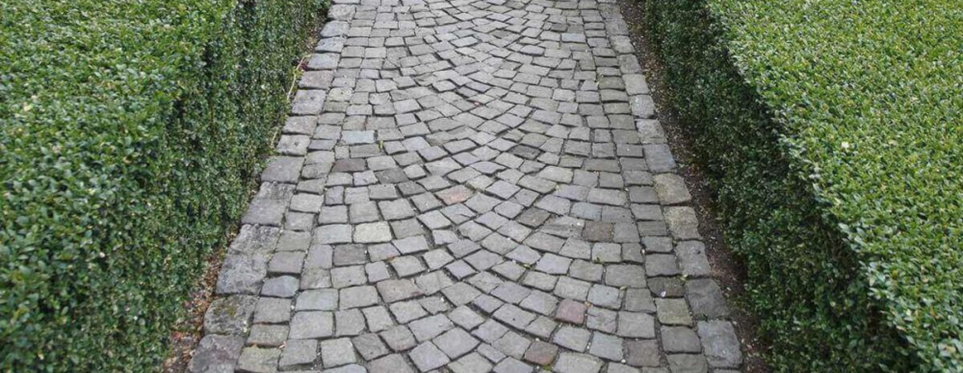 Grauwacke