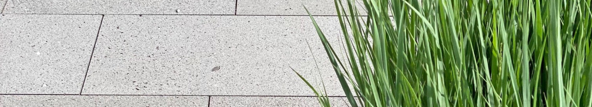 Terrassenplatten LOUV®