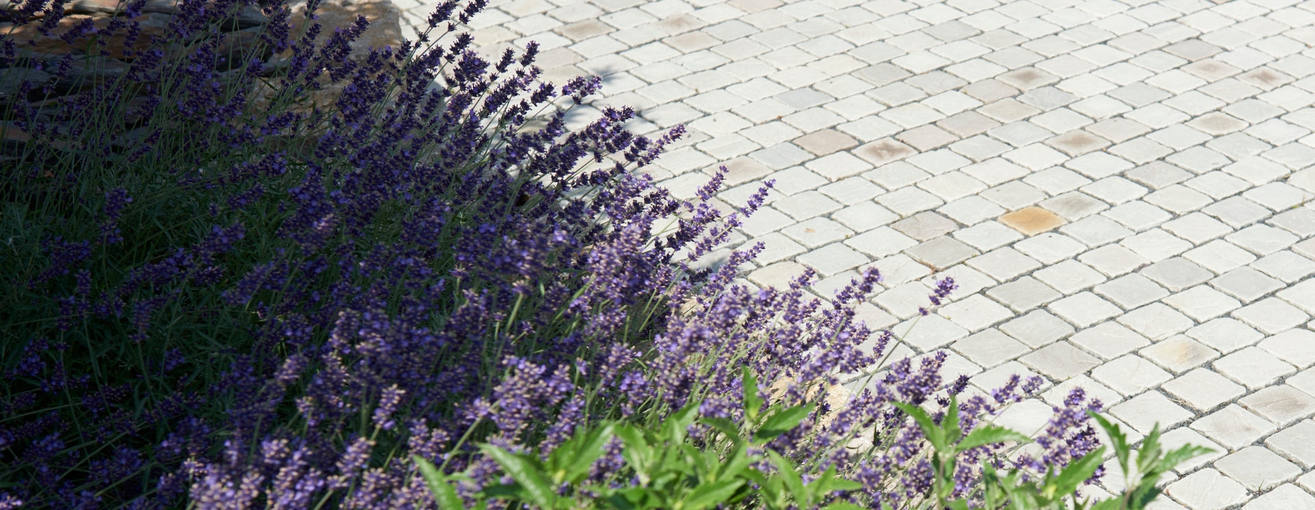 Naturstein für Terrasse, Mauern, Sichtschutz, Hof und Garten