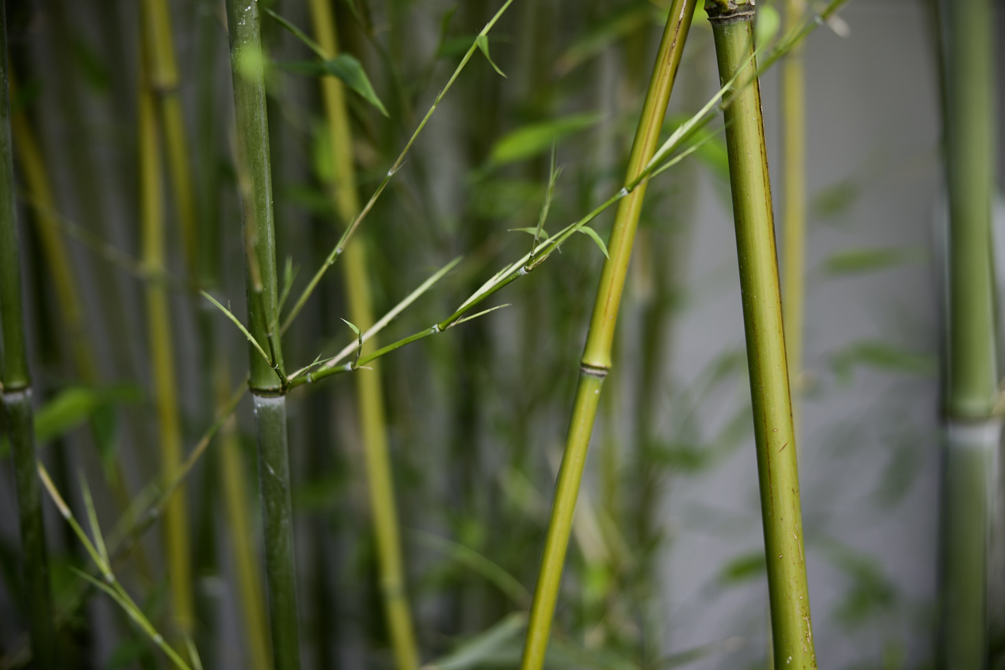 NGR Natursteine – Unternehmen und Menschen