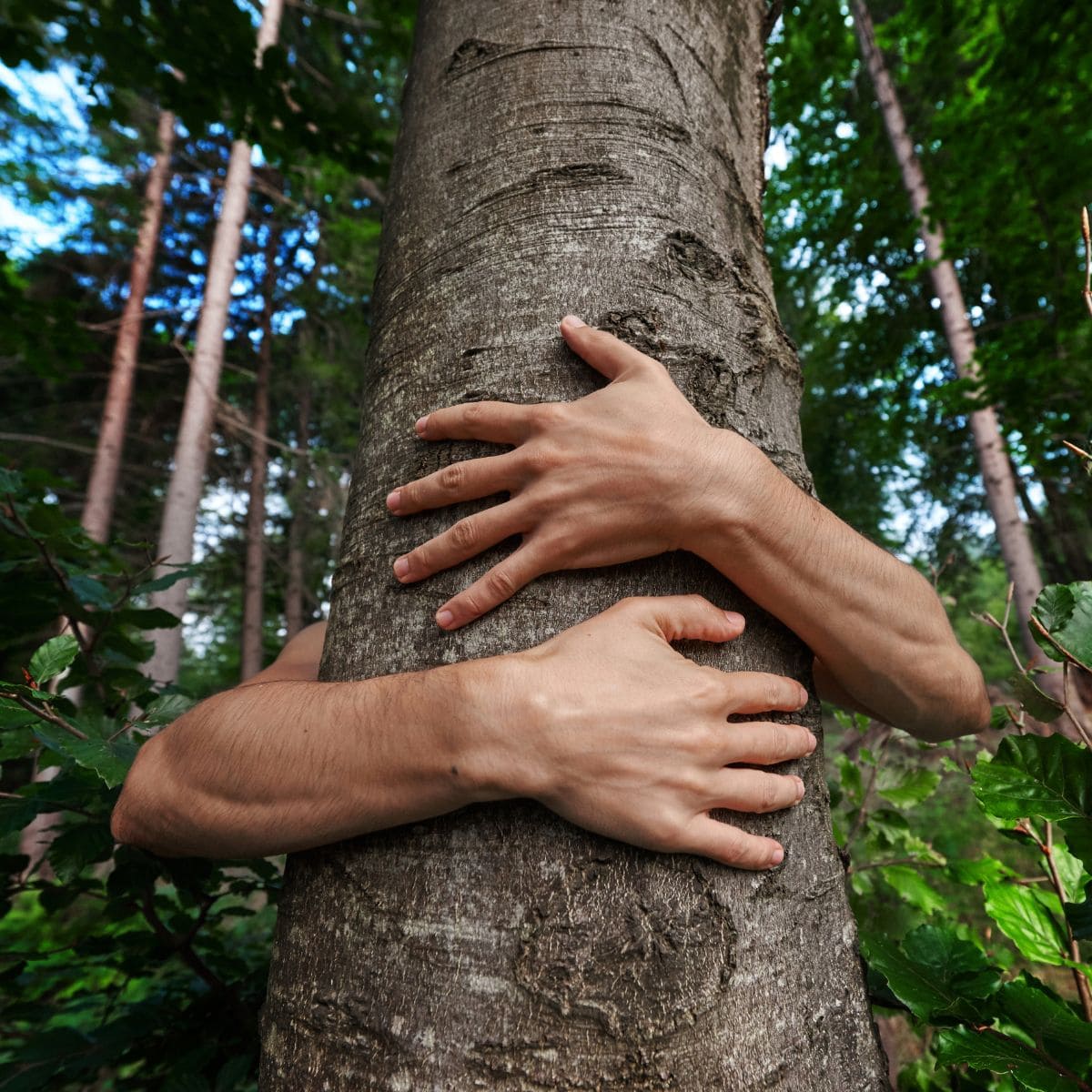 Nachhaltigkeit Naturstein