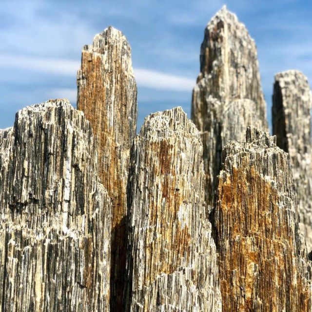 Desert Wood Monolithe Natural