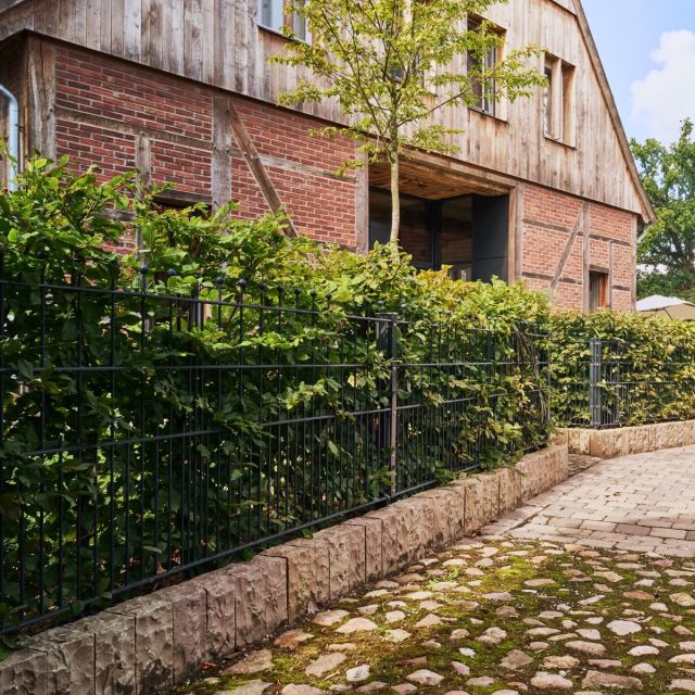 Golden Sand® Sandstein Palisaden